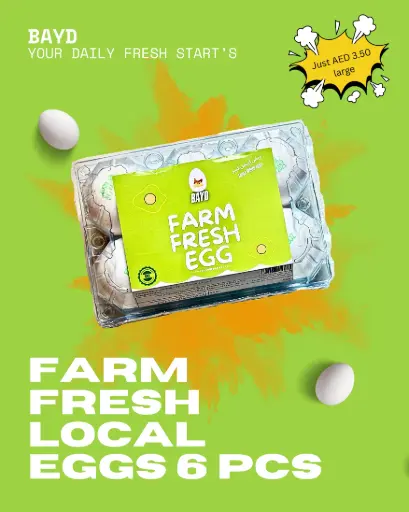 Bayd Eggs 6 pcs